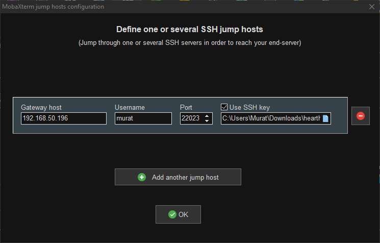 MobaXterm (Windows) step 7: Define the SSH gateway