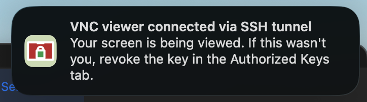TightVNC (Windows) step 8: Confirm the protected VNC session